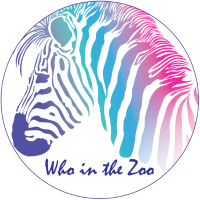 Who in the Zoo is a specialist recruitment agency pioneering the next generation of recruitment for the fashion and design industries across Australia, recognizing that the dynamics of the industry are fast-paced and ever-changing.