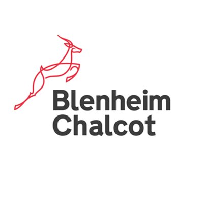 Blenheim Chalcot Group is the UK's leading venture builder with sales of over £300 million, over 3000 employees and a successful track record of over 40 companies.