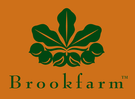Brookfarm is Australia’s leading producer of premium quality Macadamia products and was founded in 1999 by Pam and Martin Brook. The Brookfarm story is all about the creation of great tasting healthy food.