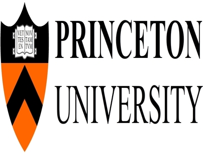 Princeton provides undergraduates and graduates instruction in the humanities, social sciences, natural sciences and engineering. It offers professional degrees through the Woodrow Wilson School of Public and International Affairs, the School of Engineering and Applied Science, the School of Architecture and the Bendheim Center for Finance.