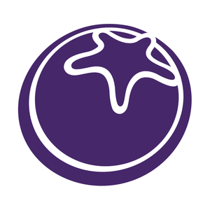 Starberry is a multi-disciplined digital agency, developing an award-winning online business based out of London, UK and spread across the globe with experts in UX/UI, website design, build, SEO, social media and email marketing.