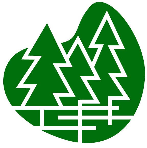 The Timberline Group is a strong recruiting and staffing firm specializing in the delivery of service solutions in the domains of staff augmentation, direct placement, contingent Search and retained search business processes.