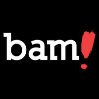 Born in the digital age, BAM! has reinvented the digital marketing strategy for businesses across many industries. It specializes in digital marketing, but also has a deep love for revolutionizing the way that your business thinks about traditional marketing initiatives.