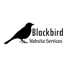 As a Digital Marketing Agency in Cleveland, Ohio, Blackbird combines award-winning web design, acute knowledge of technology, and marketing savvy to help your organization succeed in today’s digital world. Blackbird was conceived in a flash the Summer of 2004 - just a guy with an art degree, a wife, two children, a mortgage, zero savings, and suddenly... no job. Necessity is truly the mother of invention.No seriously, you might say that it knows a thing or two about a thing or two. Perhaps even above skill and experience, it knows how to improvise, make do, work under pressure, and get things done. Twelve years later, it has a ridiculously talented staff of designers, developers and marketers.