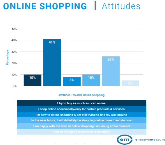 The South African Online Shoppers Purchasing Attitudes, 2017