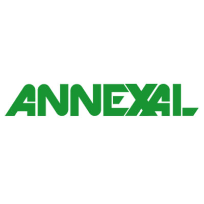 Annexal is a technology solution provider that provides end to end solutions for digital marketing and website development. They are a one for all solution company that offer services like Website Development (work on CMS like WordPress, Magento, Squarespace, Joomla, etc), Digital Marketing (SEO, Google Adwords, Facebook ads, LinkedIn and Twitter marketing). They have worked with a number of brands and companies and also helped startups grow their brand into an established and reputed business. They have been in this field for more than 5 years and throughout their journey, their main focus has always been to offer quality services.