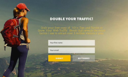 An Example of an eBook Landing Page that Used to Build an Email List
