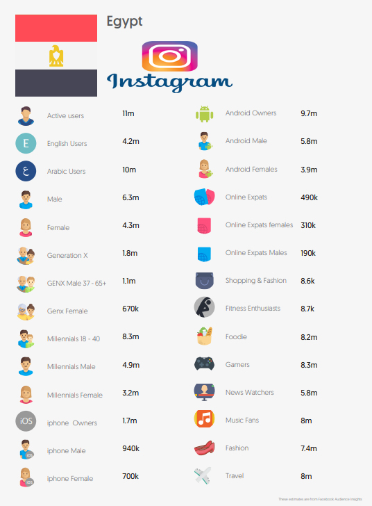 Instagram Insights and Usage in Egypt