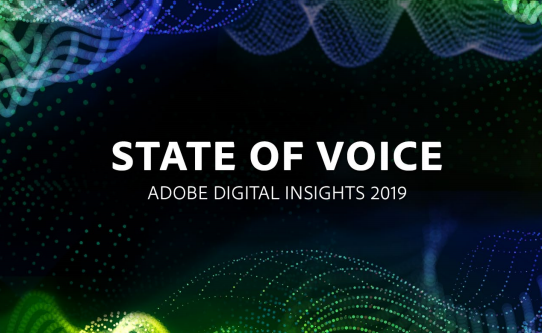 State of Voice Adobe Digital Insights 2019 - Voice Ads Stats - Voice Ads Insights 2019