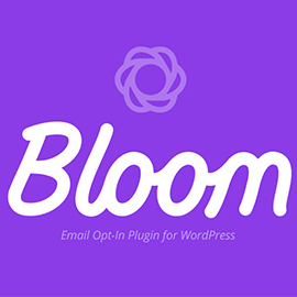 Bloom Plugin