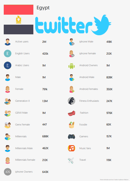 Twitter Insights and Usage in Egypt