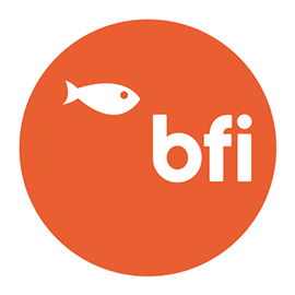 BFI is a web design and branding agency in UK. Their creative team begins work on the user interface, released via a series of iterative visual mock-ups