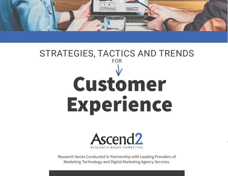 Customer Experience Report Cover 2019