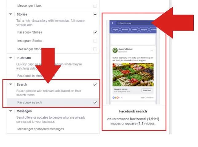 Facebook Ads in Search Results