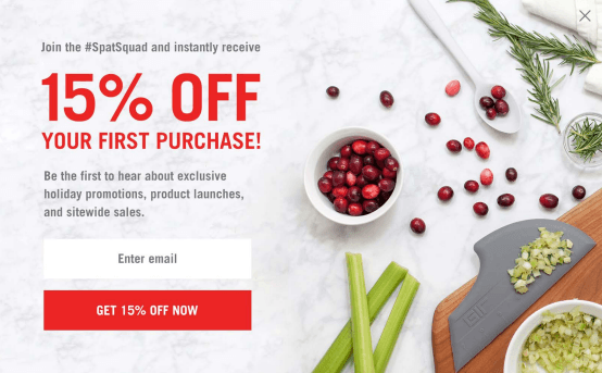 Ideas for holiday email message - Ideas for Holiday Email Design