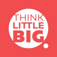 Think Little Big Marketing : Leading digital marketing agency in UK