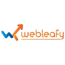 Webleafy : Renowned web design agency in India | DMC