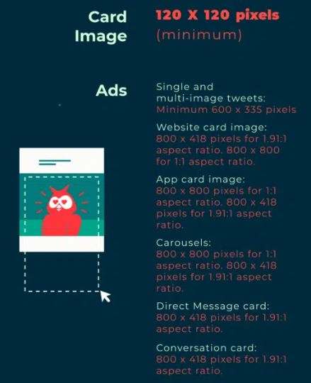 Social Media Image Sizes & Video Sizes in 2022 | DMC