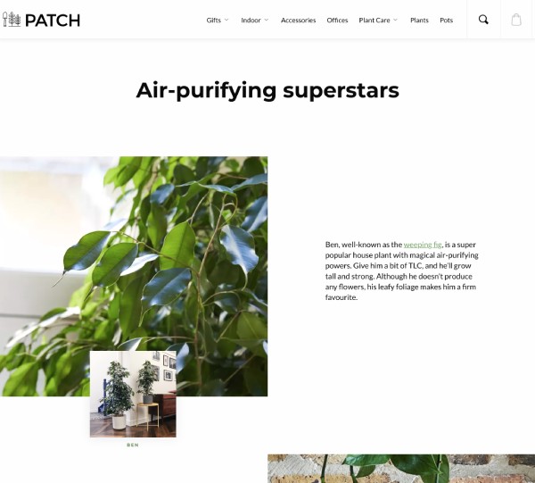 An Example for Landing Pages of the Air Purifying House Plants Google Ad