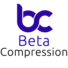 Beta Compression: Top digital marketing& SEO agency in India