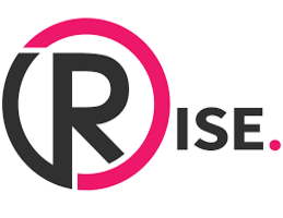 Rise Online: Top digital marketing agency in Birmingham| DMC