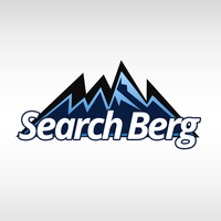 Search Berg : Award-winning SEO company in NY | DMC