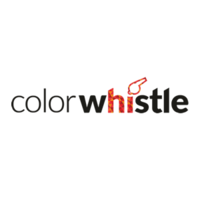 ColorWhistle: Top website design agency in India | DMC