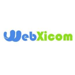 Webxicom: SEO Services Company in Delhi | DMC