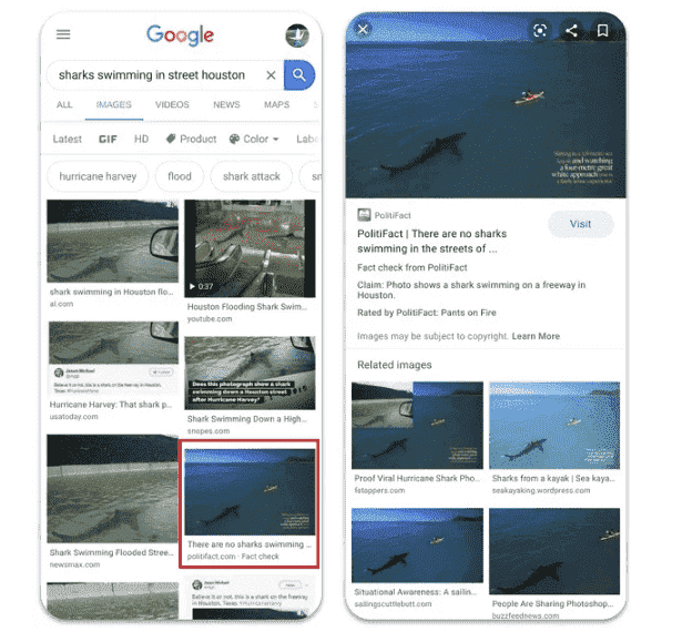 Google Adds a Knowledge Panel Insights to Google Images 2020