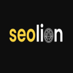 SEO Lion: SEO Company in South Africa