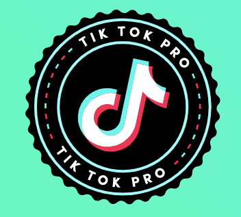 TikTok For Business: Tutorial Mini-Site to Help Brands | DMC