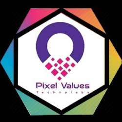 Pixel Values Technolabs: Software Development Company in India