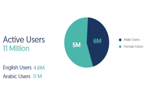 Instagram Insights and Usage in Egypt, 2020 | DMC