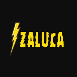 Zaluca: Web Design Company in Canada