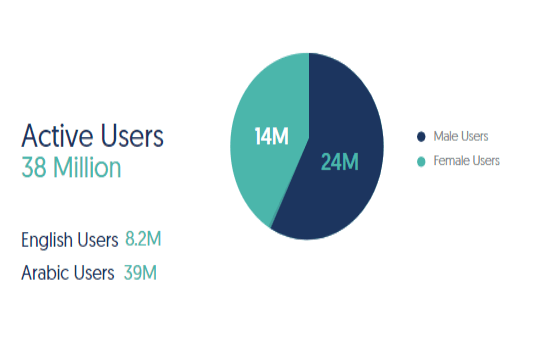 Facebook Insights and Usage in Egypt, 2020 | DMC