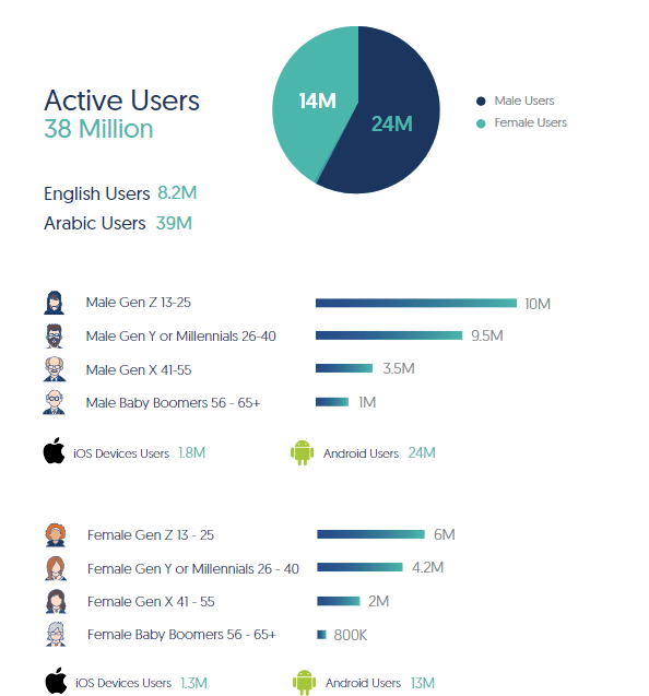 Facebook Insights and Usage in Egypt, 2020 | DMC