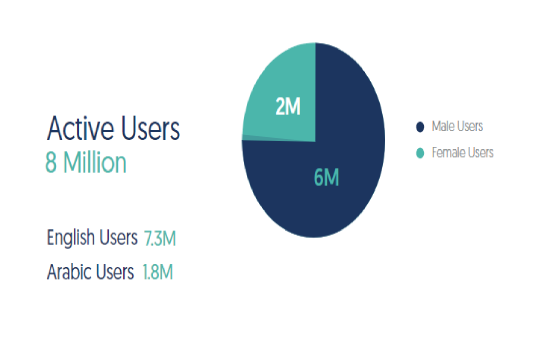 Facebook Insights and Usage in UAE, 2020 | DMC