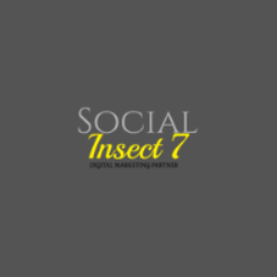 Social Insect 7: Web Marketing Agency in India | DMC