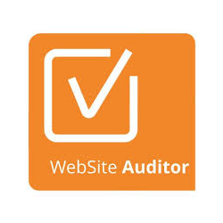 Website Auditor : Content Optimization Tool | DMC