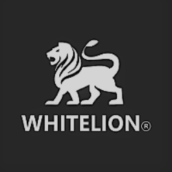 Whitelion Infosystems: Web Design Company in India | DMC
