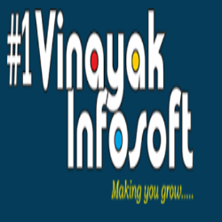 Vinayak Infosoft: Web Design Agency in India | DMC