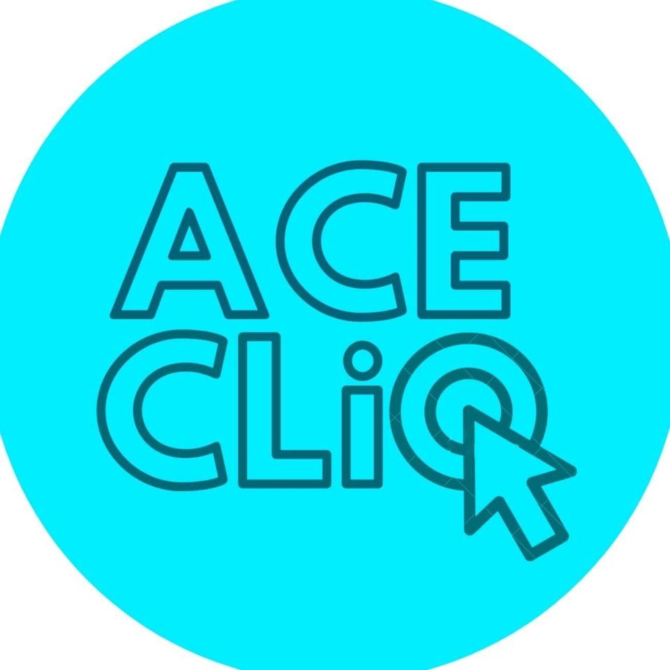 Acecliq Kanpur: Digital Marketing Agency in India | DMC
