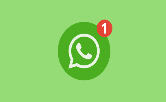 Know More About WhatsApp Payments in Brazil 2021 | DMC
