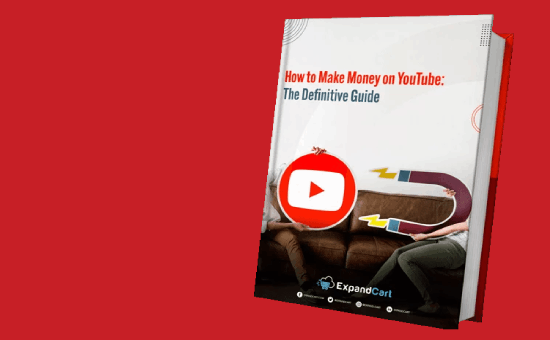 How to Make Money on YouTube Ultimate Guide 2021 | DMC