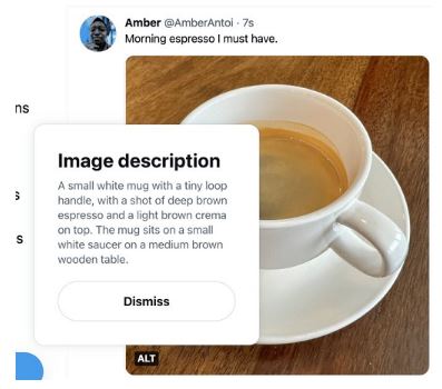 Check Twitter's Alt-Text Descriptions' Updates 2022 | DMC