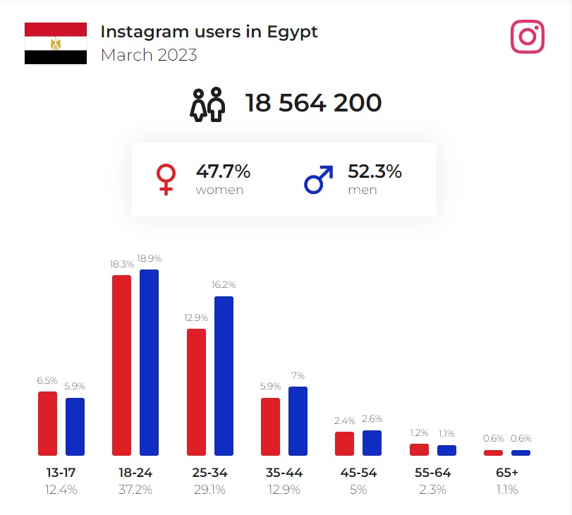 Social Media Insights and Usage in KSA and Egypt | DMC
