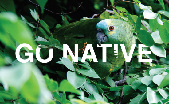 Creating Native Content: 3 Tested And Helpful Ways | DMC