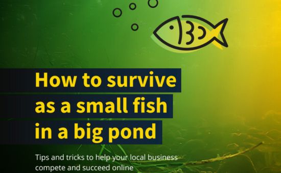 Strategies For Small Businesses To Triumph Over Giants | DMC
