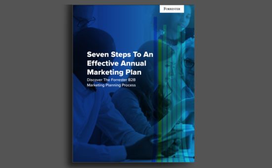 Seven Steps To An Effective Annual Marketing Plan | DMC
