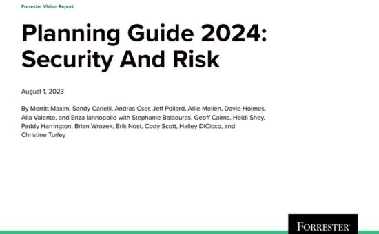 Planning Guide 2024: Security And Risk | DMC